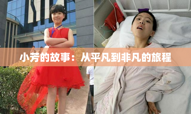 小芳的故事：从平凡到非凡的旅程