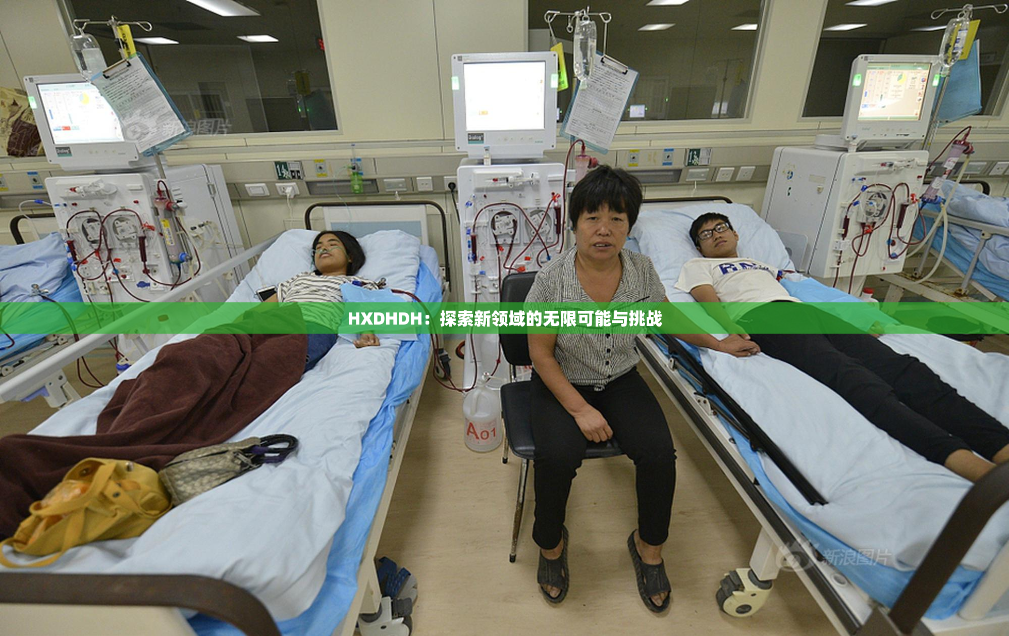 HXDHDH：探索新领域的无限可能与挑战