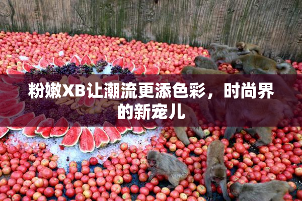 粉嫩XB让潮流更添色彩，时尚界的新宠儿