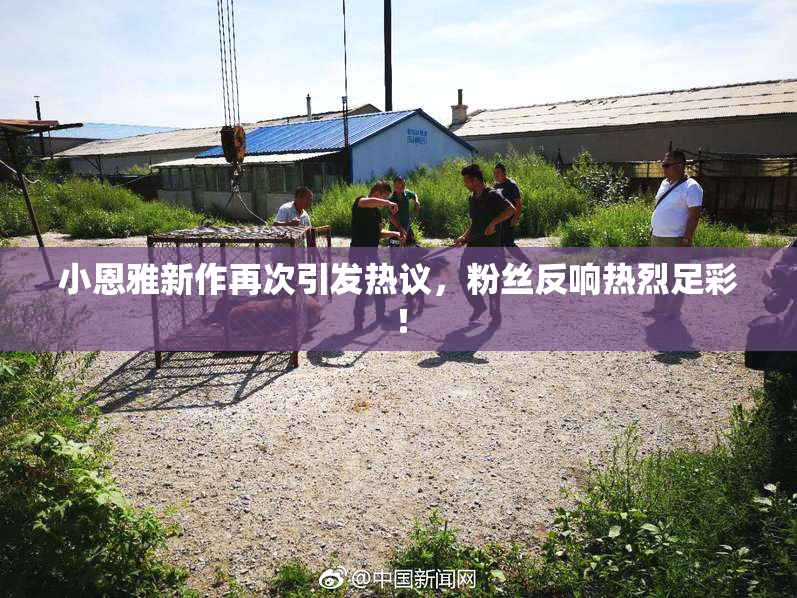 小恩雅新作再次引发热议，粉丝反响热烈足彩！