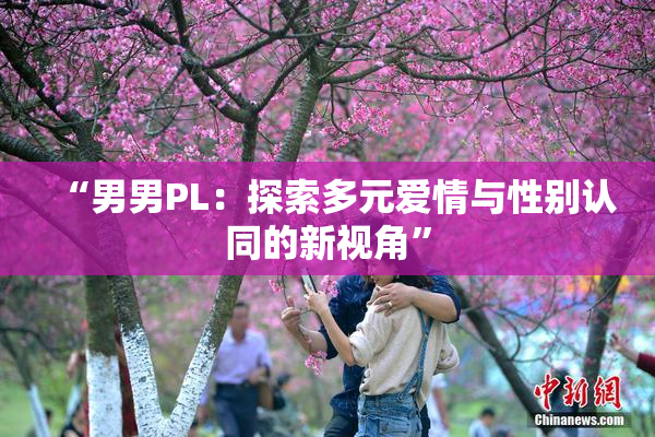 “男男PL：探索多元爱情与性别认同的新视角”
