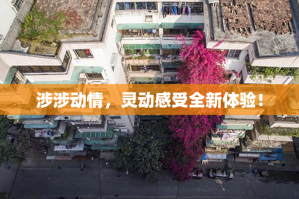 涉涉动情，灵动感受全新体验！