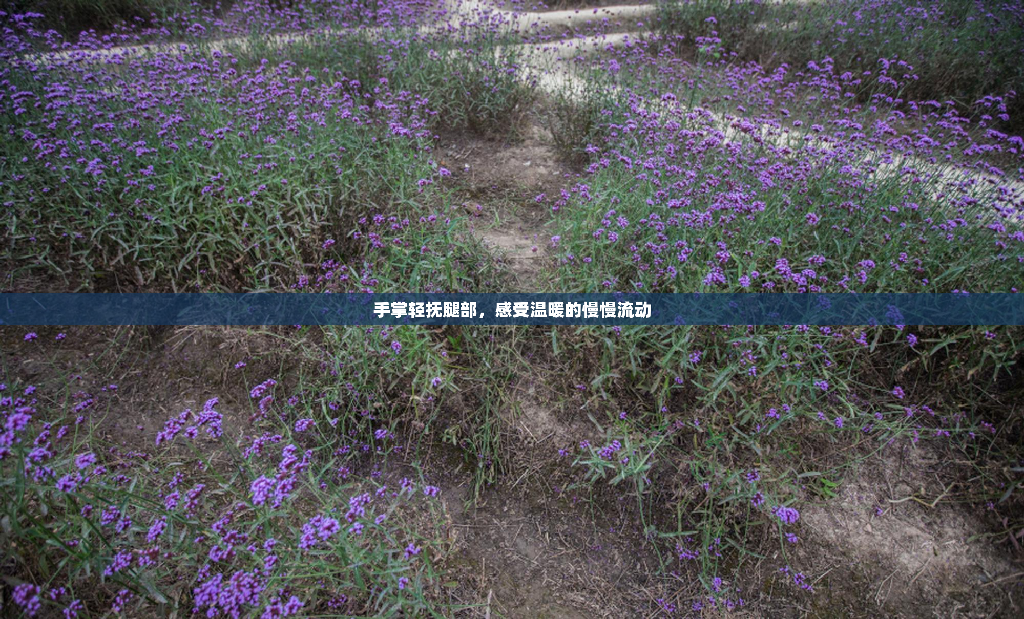 手掌轻抚腿部，感受温暖的慢慢流动