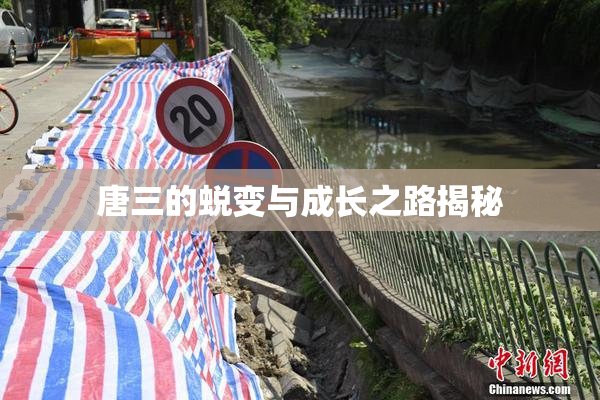 唐三的蜕变与成长之路揭秘