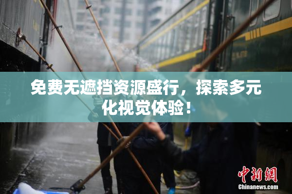 免费无遮挡资源盛行，探索多元化视觉体验！