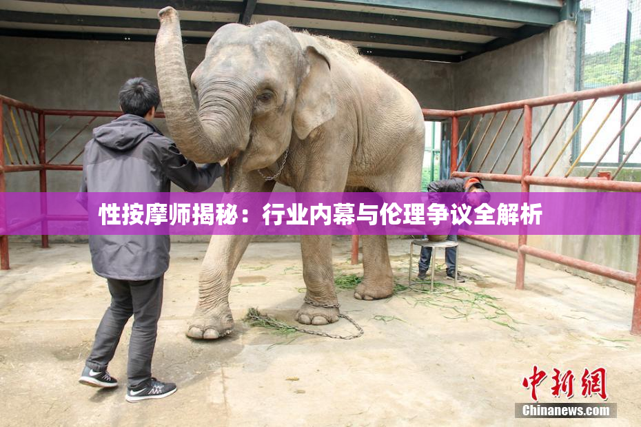 性按摩师揭秘：行业内幕与伦理争议全解析