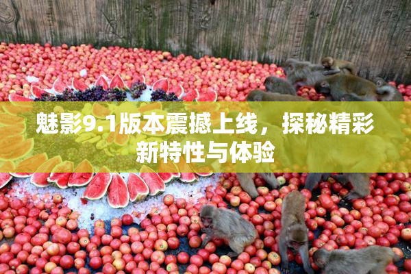 魅影9.1版本震撼上线，探秘精彩新特性与体验