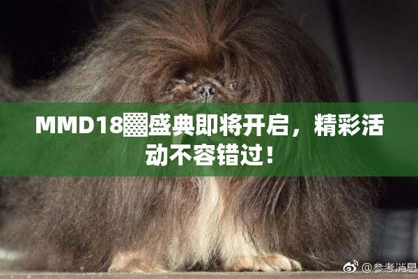 MMD18▓盛典即将开启，精彩活动不容错过！