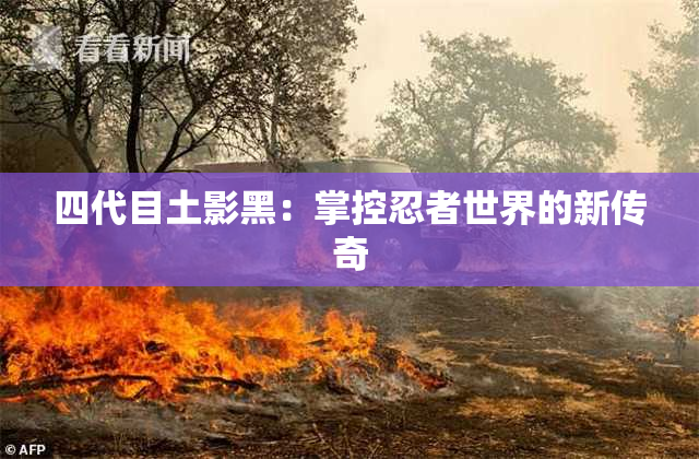 四代目土影黑：掌控忍者世界的新传奇