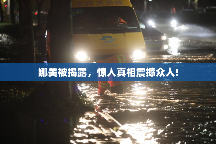 娜美被揭露，惊人真相震撼众人!