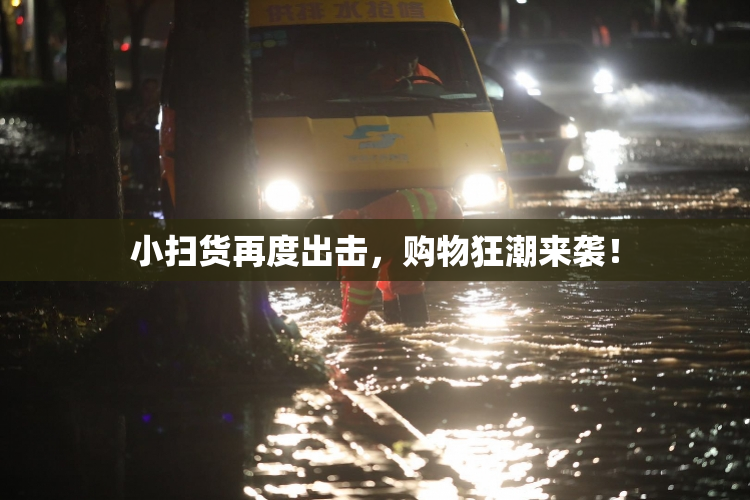 小扫货再度出击，购物狂潮来袭！