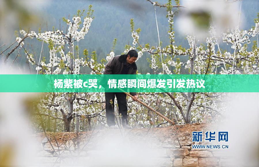 杨紫被c哭，情感瞬间爆发引发热议