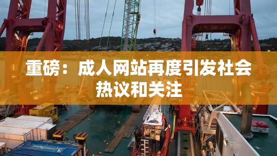 重磅：成人网站再度引发社会热议和关注