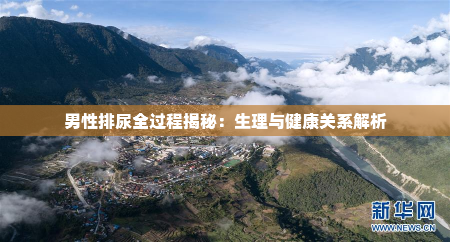 男性排尿全过程揭秘：生理与健康关系解析