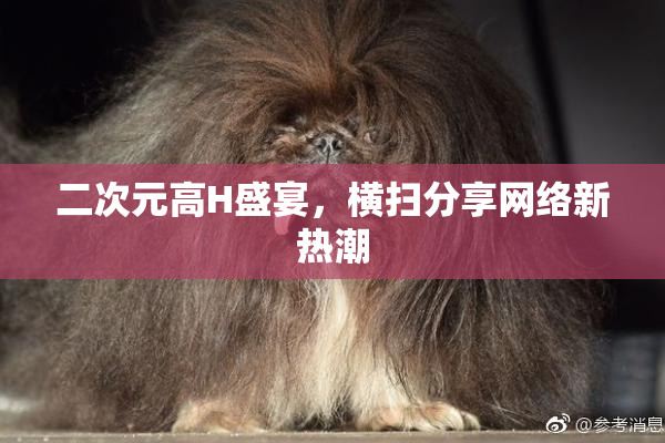 二次元高H盛宴，横扫分享网络新热潮