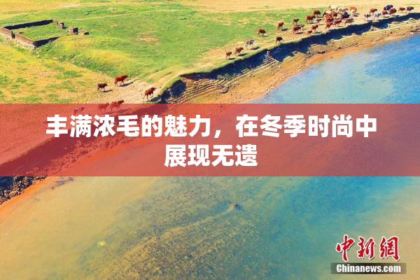 丰满浓毛的魅力，在冬季时尚中展现无遗
