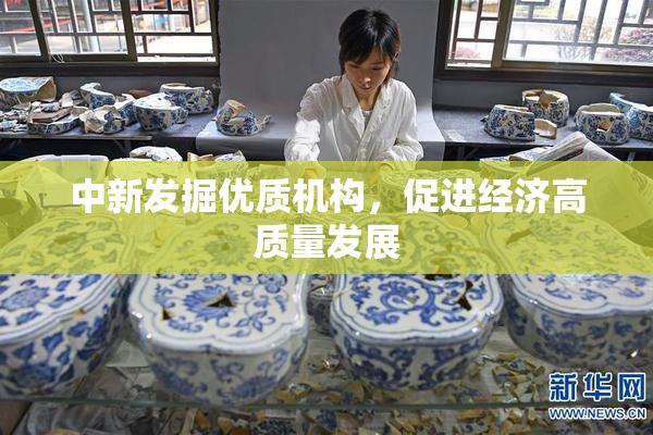 中新发掘优质机构，促进经济高质量发展