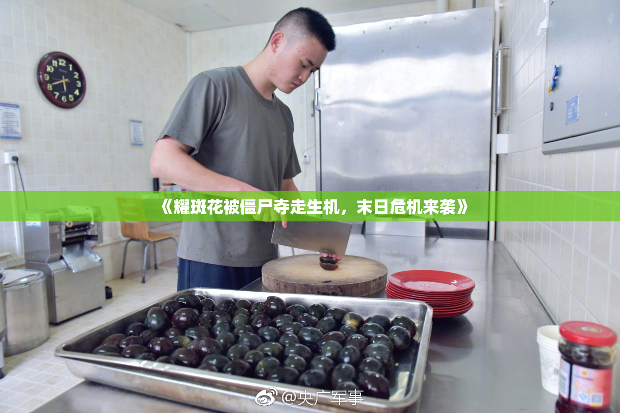 《耀斑花被僵尸夺走生机，末日危机来袭》