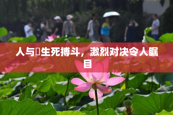 人与嘼生死搏斗，激烈对决令人瞩目