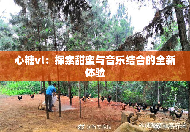 心糖vl：探索甜蜜与音乐结合的全新体验