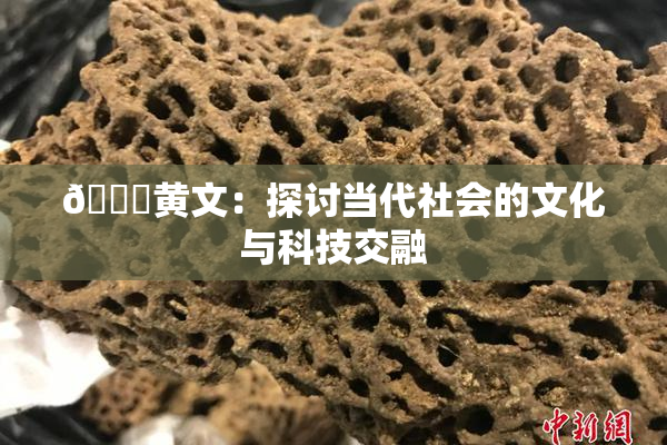 🔞黄文：探讨当代社会的文化与科技交融