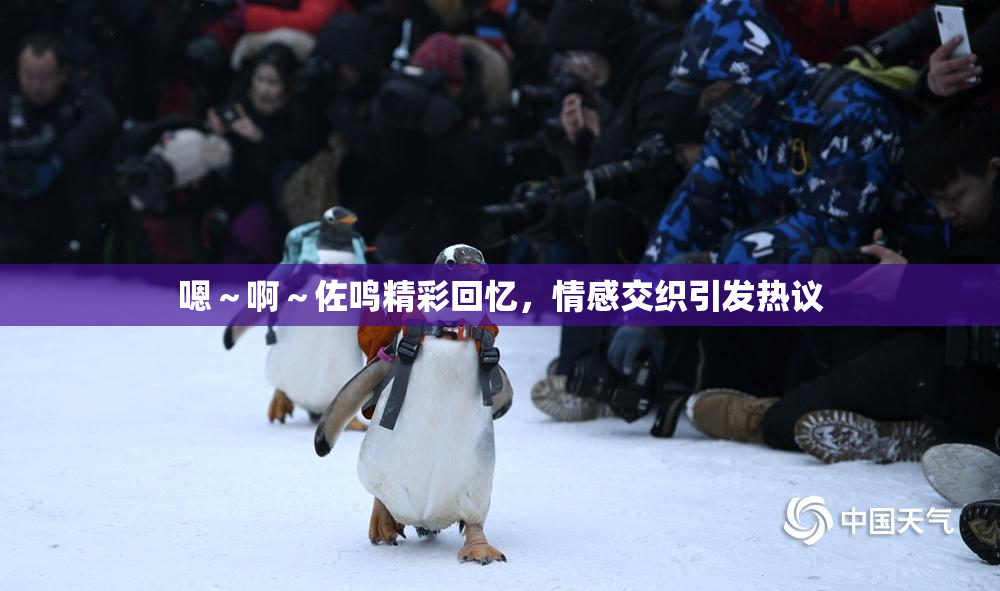 嗯～啊～佐鸣精彩回忆，情感交织引发热议