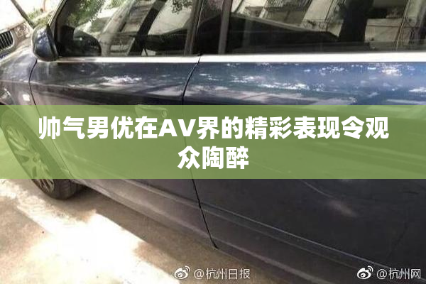 帅气男优在AV界的精彩表现令观众陶醉