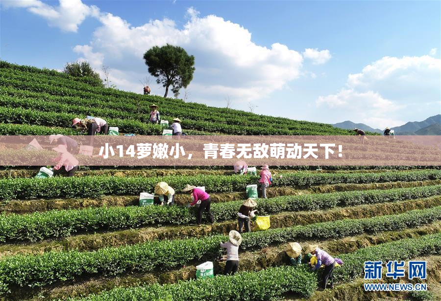小14萝嫩小，青春无敌萌动天下！