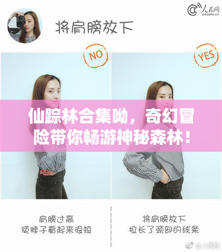 仙踪林合集呦，奇幻冒险带你畅游神秘森林！