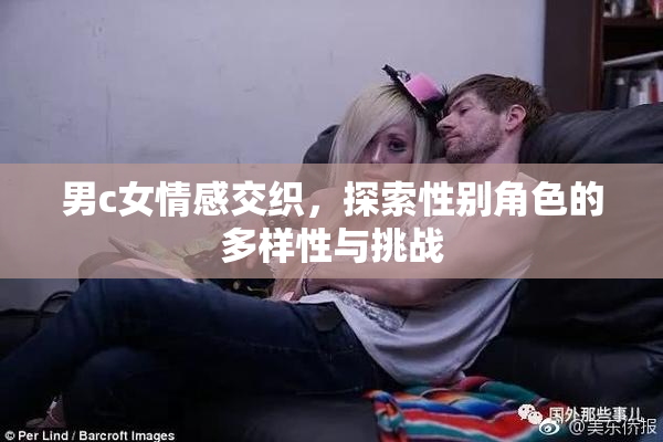 男c女情感交织，探索性别角色的多样性与挑战