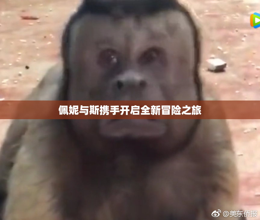 佩妮与斯携手开启全新冒险之旅