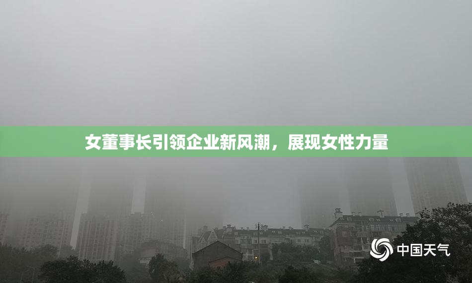 女董事长引领企业新风潮，展现女性力量