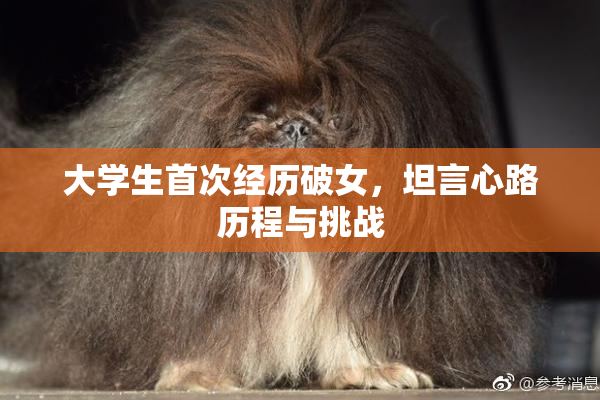 大学生首次经历破女，坦言心路历程与挑战