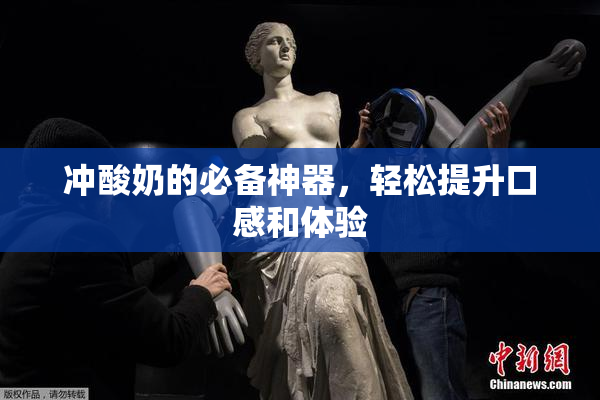 冲酸奶的必备神器，轻松提升口感和体验