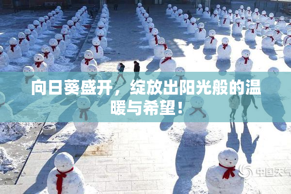 向日葵盛开，绽放出阳光般的温暖与希望！