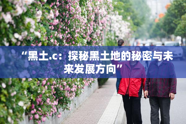“黑土.c：探秘黑土地的秘密与未来发展方向”