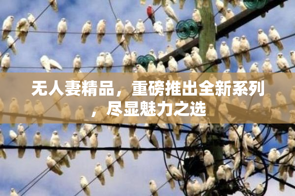 无人妻精品，重磅推出全新系列，尽显魅力之选