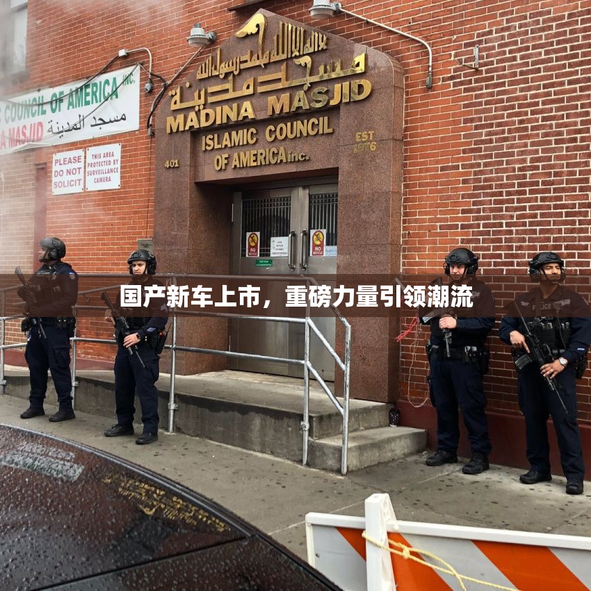 国产新车上市，重磅力量引领潮流