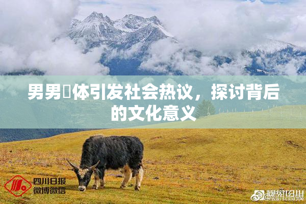 男男祼体引发社会热议，探讨背后的文化意义