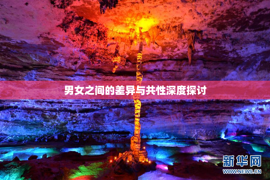 男女之间的差异与共性深度探讨