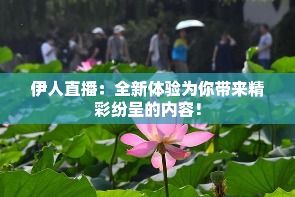 伊人直播：全新体验为你带来精彩纷呈的内容！