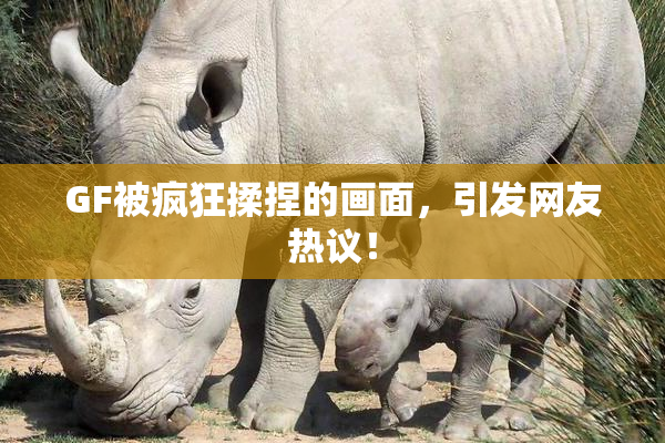 GF被疯狂揉捏的画面，引发网友热议！