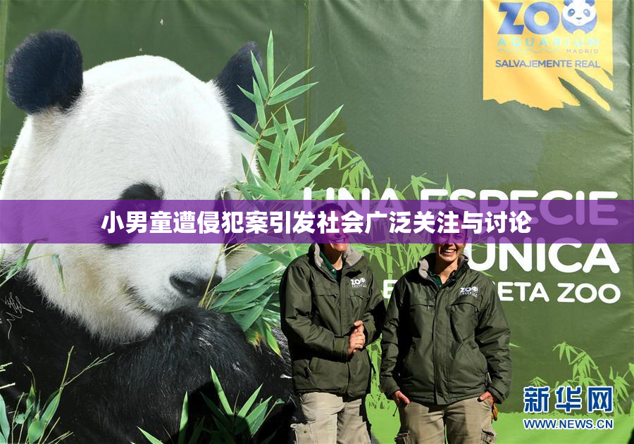 小男童遭侵犯案引发社会广泛关注与讨论