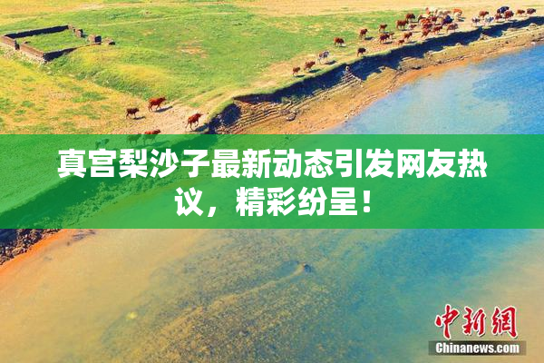 真宫梨沙子最新动态引发网友热议，精彩纷呈！