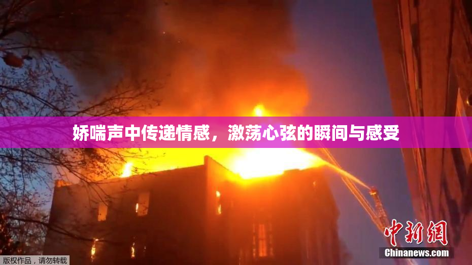 娇喘声中传递情感，激荡心弦的瞬间与感受