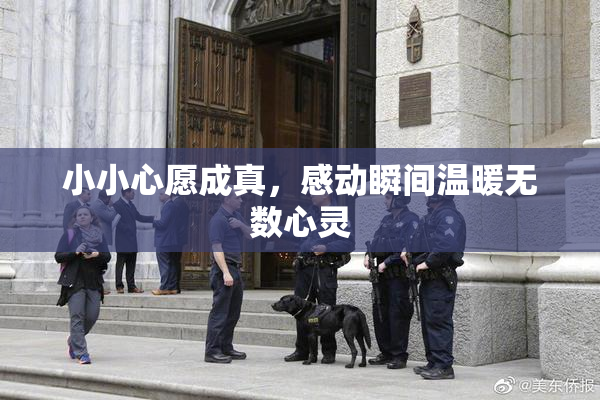 小小心愿成真，感动瞬间温暖无数心灵