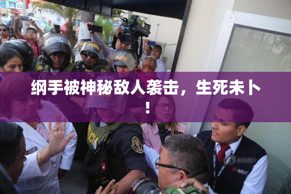纲手被神秘敌人袭击，生死未卜！