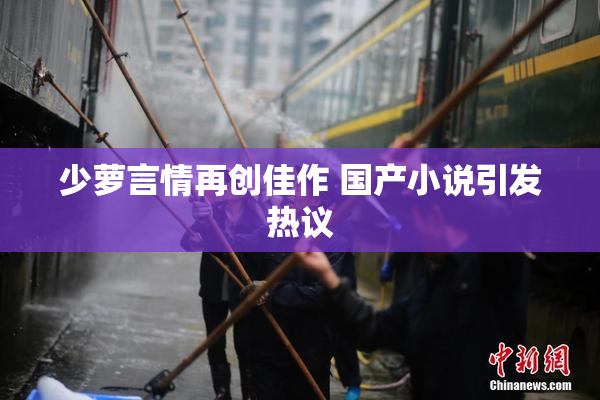 少萝言情再创佳作 国产小说引发热议