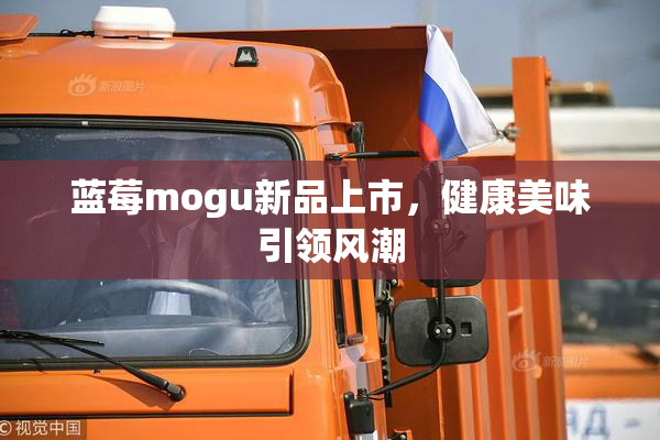 蓝莓mogu新品上市，健康美味引领风潮