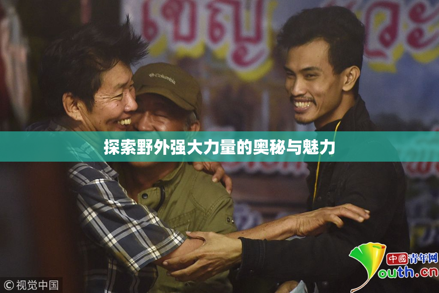 探索野外强大力量的奥秘与魅力
